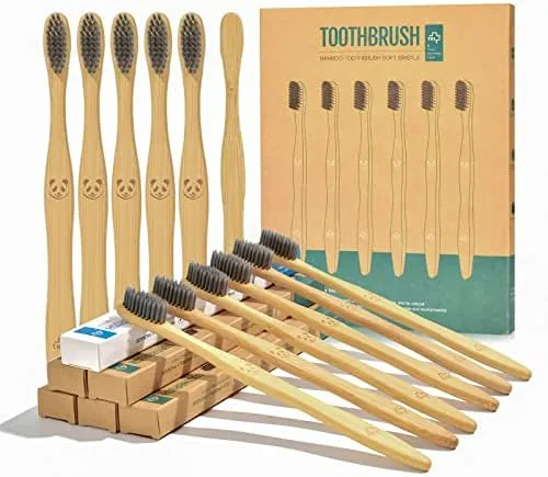 lot de 12 toothbrush